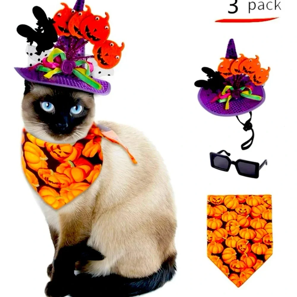 Halloween pumpkin sequin hat and bandana cat costume